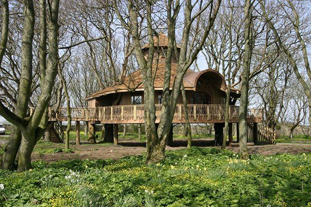 Treehouse